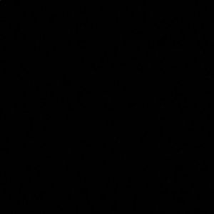 Meet your Posher, Landry